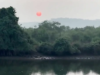 along to smell of henna pervades along to Indian subcontinent
